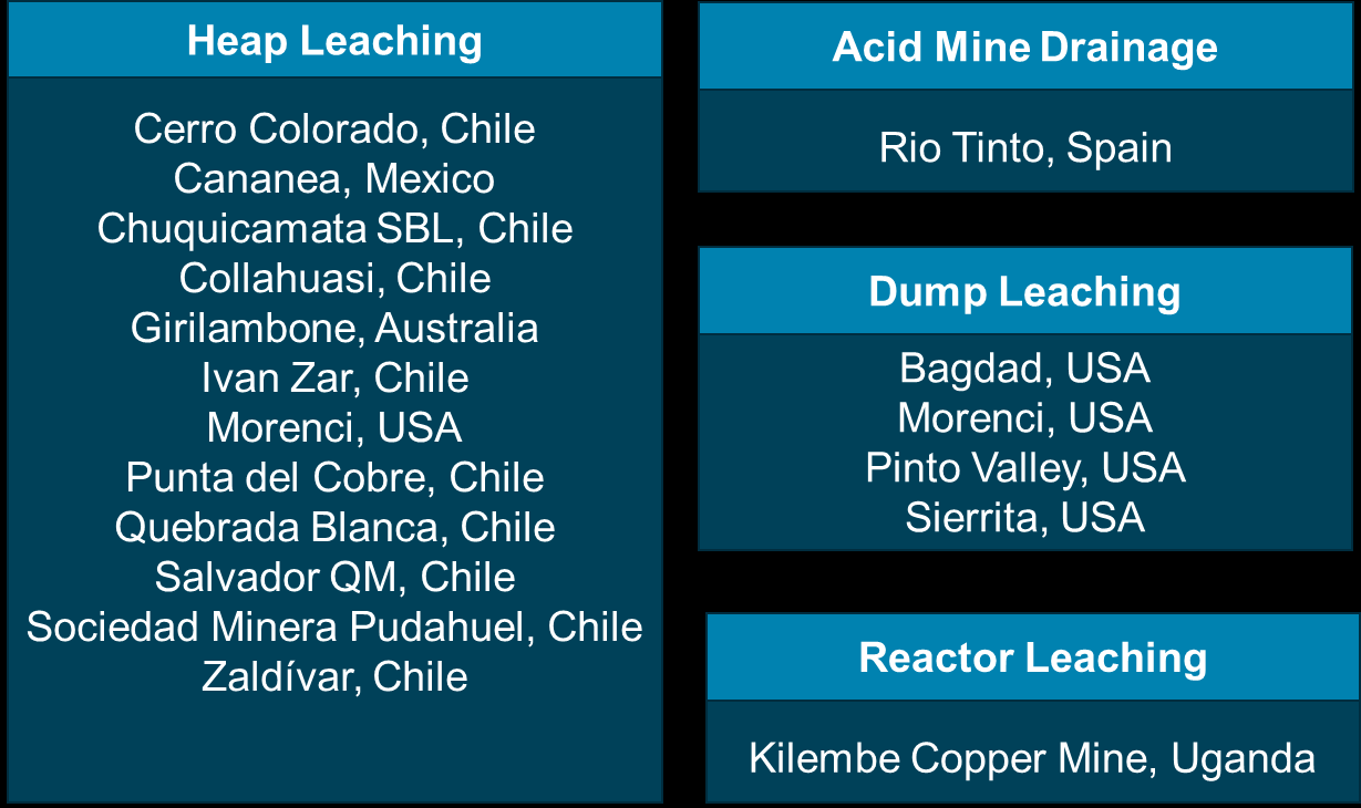 bioleaching operations